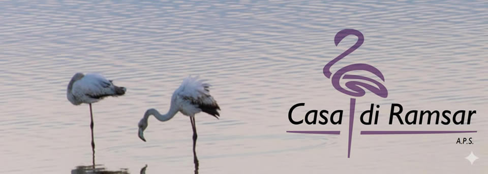 casa ramsar_copertina