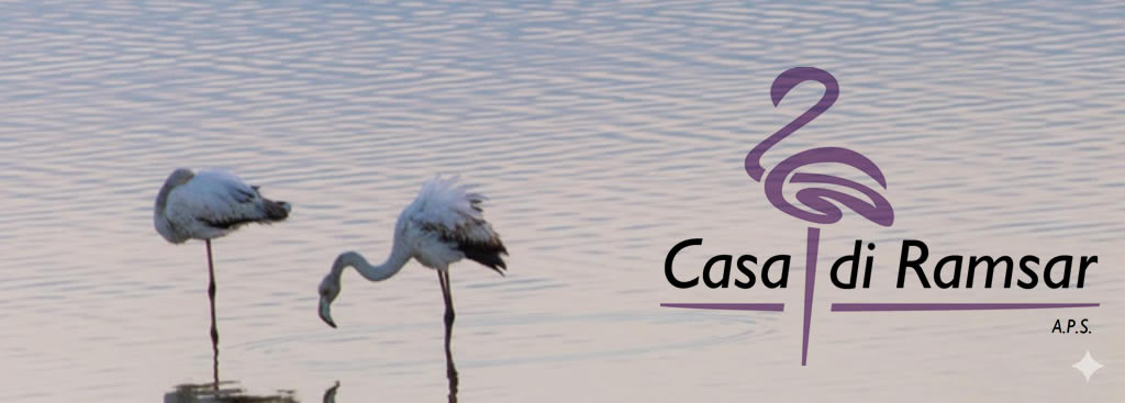 casa ramsar_copertina